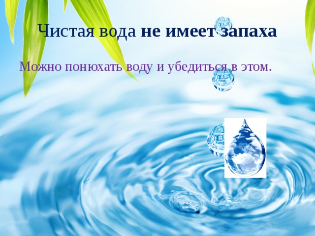 Твоя вода. Исследовательский проект вода. Чистая вода не имеет запаха. Понюхайте чистую воду какое свойство воды можно. Исследовательский проект «вода-сок жизни!» Теория.