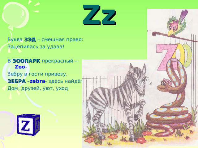 Zz Буква ЗЭД  – смешная право: Зацепилась за удава! В ЗООПАРК  прекрасный – Zoo - Зебру в гости привезу. ЗЕБРА  – zebra - здесь найдёт Дом, друзей, уют, уход. 