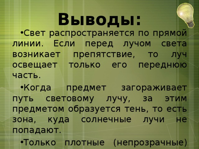 Мы вошли в лес освещенный лучами