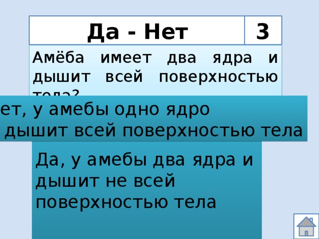 Может иметь несколько ядер. Имеет два ядра. Амеба два ядра. Кто из простейших имеет два ядра. Кто имеет 2 ядра.