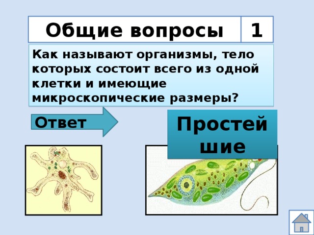 Общие вопросы 1 Как называют организмы, тело которых состоит всего из одной клетки и имеющие микроскопические размеры? Ответ Простейшие 
