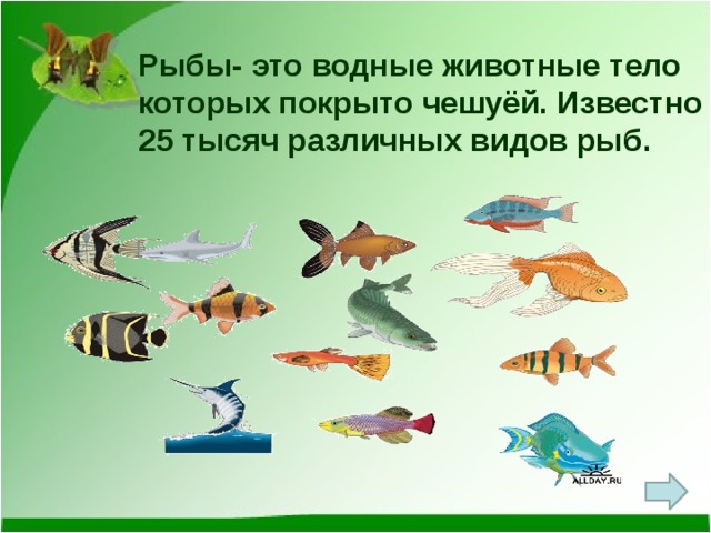 Рыбы- это водные животные тело которых покрыто чешуёй. Известно 25 тысяч различных видов рыб. 