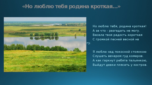 «Но люблю тебя родина кроткая…»  Но люблю тебя, родина кроткая!  А за что - разгадать не могу.  Весела твоя радость короткая  С громкой песней весной на лугу.    Я люблю над покосной стоянкою  Слушать вечером гуд комаров.  А как гаркнут ребята тальянкою,  Выйдут девки плясать у костров.   