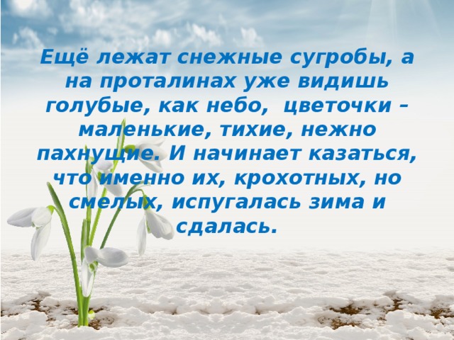  Ещё лежат снежные сугробы, а на проталинах уже видишь голубые, как небо,  цветочки – маленькие, тихие, нежно пахнущие. И начинает казаться, что именно их, крохотных, но смелых, испугалась зима и сдалась. 