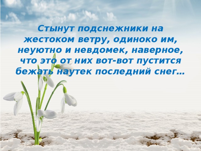  Стынут подснежники на жестоком ветру, одиноко им, неуютно и невдомек, наверное, что это от них вот-вот пустится бежать наутек последний снег… 