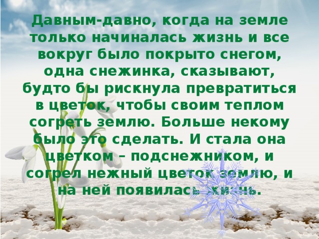 Давным-давно, когда на земле только начиналась жизнь и все вокруг было покрыто снегом, одна снежинка, сказывают, будто бы рискнула превратиться в цветок, чтобы своим теплом согреть землю. Больше некому было это сделать. И стала она цветком – подснежником, и согрел нежный цветок землю, и на ней появилась жизнь. 