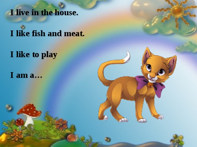 I live in the house.  I like fish and meat.  I like to play  I am a… 