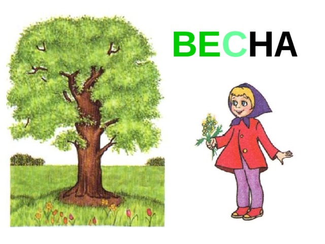 ВЕ С НА 