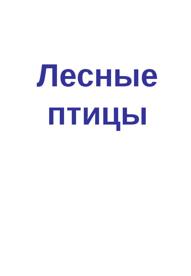 Лесные птицы 