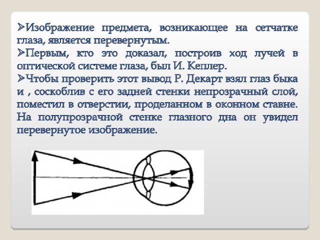 Изображение предмета возникающее на сетчатке глаза является