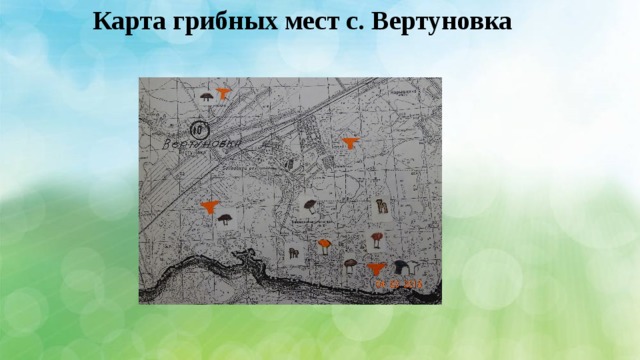 Карта грибных мест с. Вертуновка 