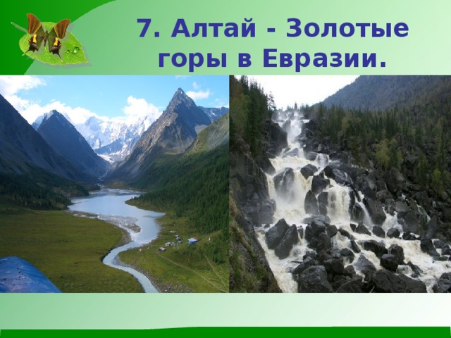 7. Алтай - Золотые горы в Евразии. 