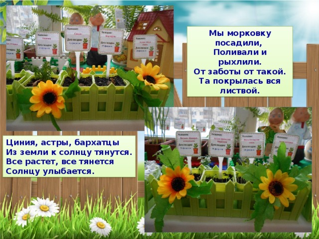 Мы морковку посадили, Поливали и рыхлили. От заботы от такой. Та покрылась вся листвой. Циния, астры, бархатцы Из земли к солнцу тянутся. Все растет, все тянется Солнцу улыбается. 