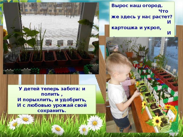Вырос наш огород. Что же здесь у нас растет? И картошка и укроп, И фасоль и морковь Там чеснок, а тут горох Огород у нас не плох. У детей теперь забота: и полить , И порыхлить, и удобрить, И с любовью урожай свой сохранить. 