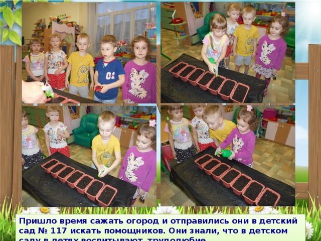 Пришло время сажать огород и отправились они в детский сад № 117 искать помощников. Они знали, что в детском саду в детях воспитывают трудолюбие. 