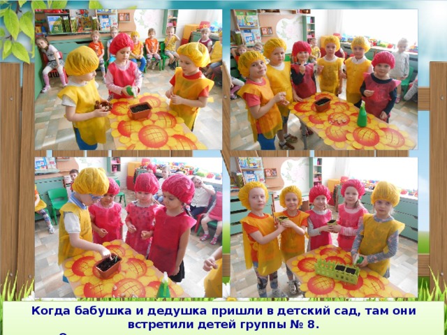 Когда бабушка и дедушка пришли в детский сад, там они встретили детей группы № 8. Они попросили деток им помочь посадить огород. 