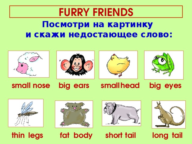 Thin tail. Small nose big Ears. Транскрипция английских слов small nose big Ears. Транскрипция слова small nose. Small nose big Ears Spotlight 3.