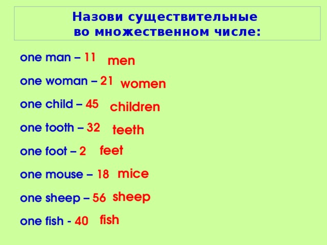 Dish во множественном числе. Mouse множественное число. One Sheep во множественном числе. Sheep во множественном числе на английском. Tooth множественное число.