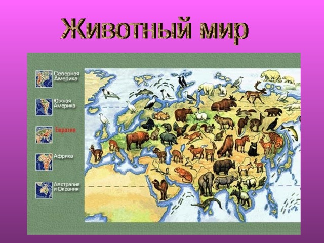 Урок окружающего мира 2 класс путешествие по планете презентация