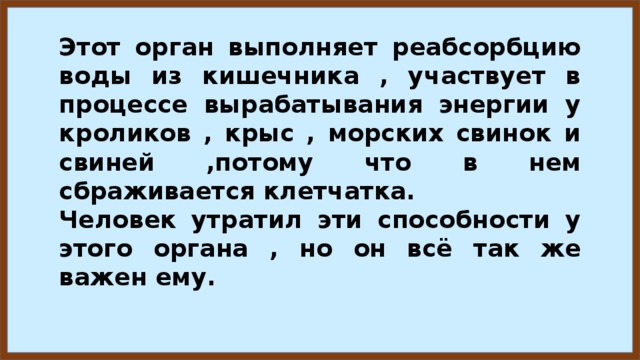 Этот орган выполняет реабсорбцию воды из кишечника , участвует в процессе вырабатывания энергии у кроликов , крыс , морских свинок и свиней ,потому что в нем сбраживается клетчатка. Человек утратил эти способности у этого органа , но он всё так же важен ему. 