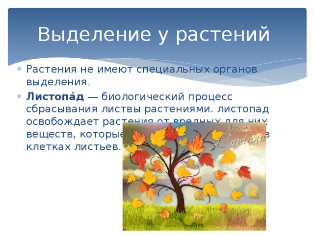 Выделение у растений Растения не имеют специальных органов выделения. Листопа́д  — биологический процесс сбрасывания листвы растениями. листопад освобождает растения от вредных для них веществ, которые накапливаются к осени в клетках листьев. 