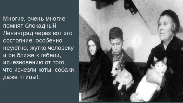 Многие, очень многие помнят блокадный Ленинград через вот это состояние: особенно неуютно, жутко человеку и он ближе к гибели, исчезновению от того, что исчезли коты, собаки, даже птицы!.. 