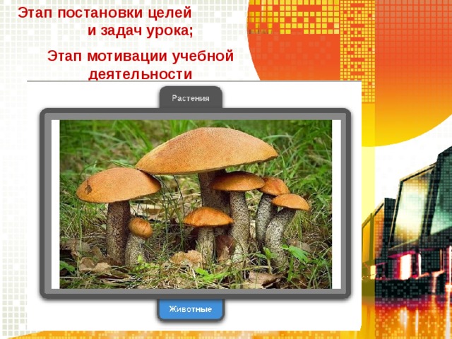 Этап постановки целей и задач урока; Этап мотивации учебной деятельности 