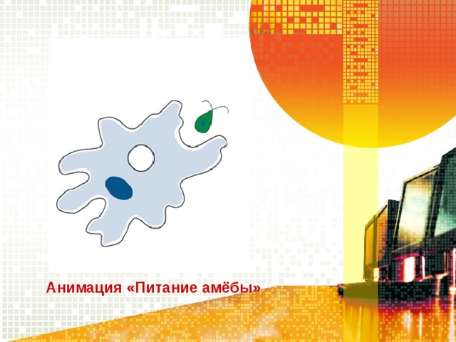 Анимация «Питание амёбы» 