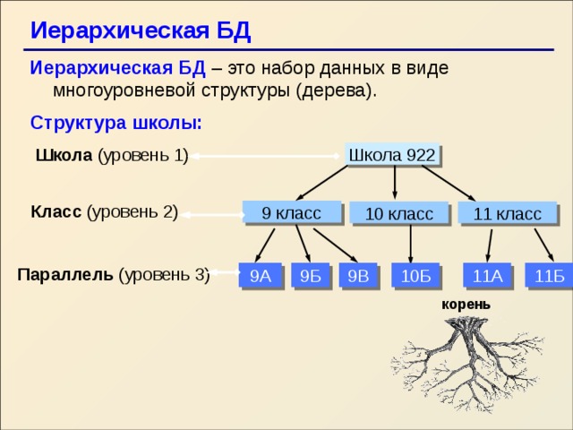 Иерархическая БД   Иерархическая БД – это набор данных в виде многоуровневой структуры (дерева). Структура школы: Школа (уровень 1) Школа 922 Класс (уровень 2) 9 класс 10 класс 11 класс Параллель (уровень 3) 9А 10Б 11А 11Б 9В 9Б корень