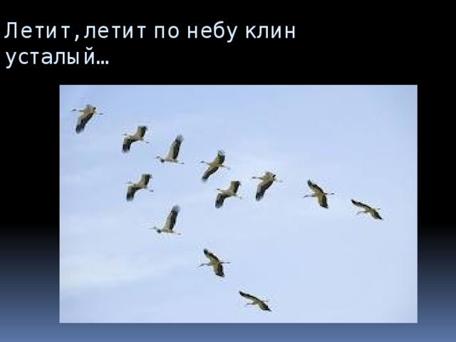 Песня летим по небу. Летит летит по небу Клин. Лети по небу Клин усталый. Песня летит летит по небу Клин усталый. Расул Гамзатов летит летит по небу Клин усталый.