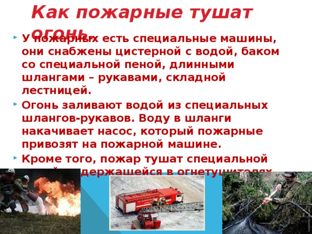 Пожарная служба проект