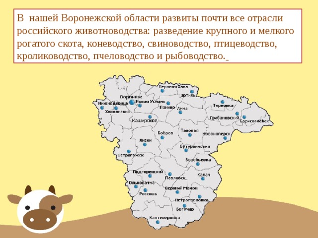 В нашей Воронежской области развиты почти все отрасли российского животноводства: разведение крупного и мелкого рогатого скота, коневодство, свиноводство, птицеводство, кролиководство, пчеловодство и рыбоводство.