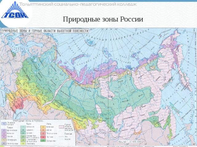 Природные зоны России 