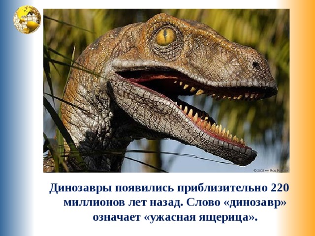 Динозавры появились приблизительно 220 миллионов лет назад. Слово «динозавр» означает «ужасная ящерица». 