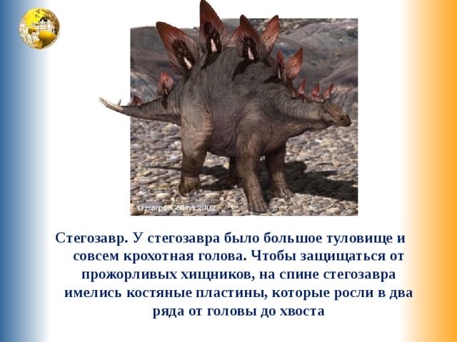 Стегозавр. У стегозавра было большое туловище и совсем крохотная голова. Чтобы защищаться от прожорливых хищников, на спине стегозавра имелись костяные пластины, которые росли в два ряда от головы до хвоста 