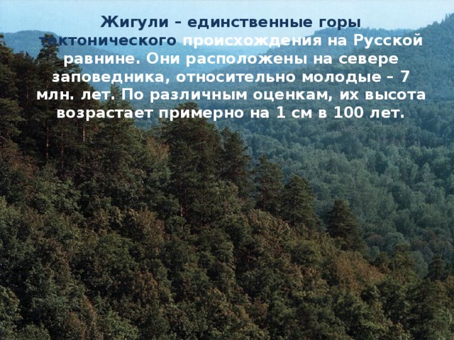 Жигули – единственные горы тектонического происхождения на Русской равнине. Они расположены на севере заповедника, относительно молодые – 7 млн. лет.  По различным оценкам, их высота возрастает примерно на 1 см в 100 лет. 