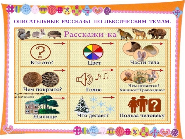 Схема рассказа о диких животных