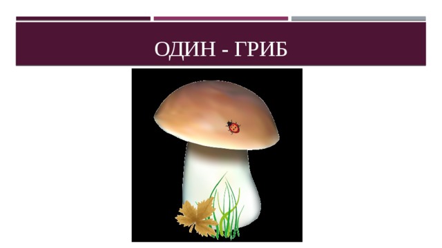 Один - гриб 