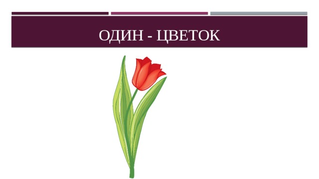 Один - цветок 