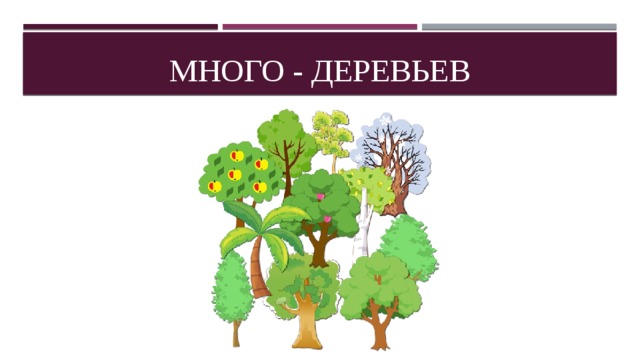 Много - деревьев 
