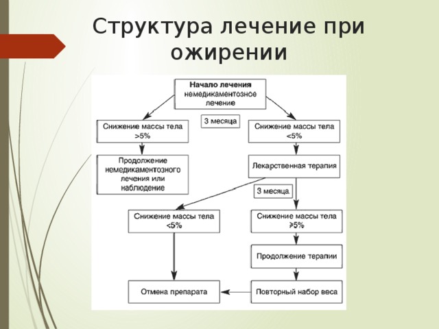 Структура лечение при ожирении 