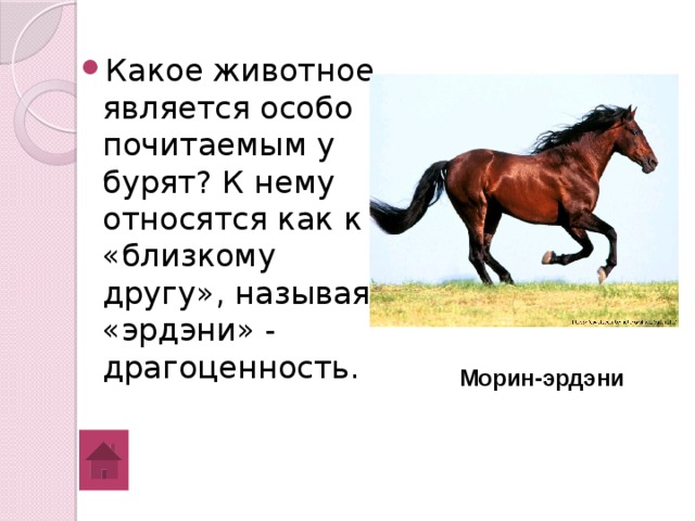 Какое животное является особо почитаемым у бурят? К нему относятся как к «близкому другу», называя «эрдэни» - драгоценность. Морин-эрдэни 