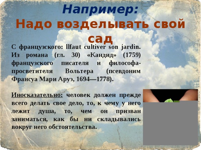 Например:  Надо возделывать свой сад   С французского: llfaut cultiver son jardin. Из романа (гл. 30) «Кандид» (1759) французского писателя и философа-просветителя Вольтера (псевдоним Франсуа Мари Аруэ, 1694—1778).  Иносказательно: человек должен прежде всего делать свое дело, то, к чему у него лежит душа, то, чем он призван заниматься, как бы ни складывались вокруг него обстоятельства.   