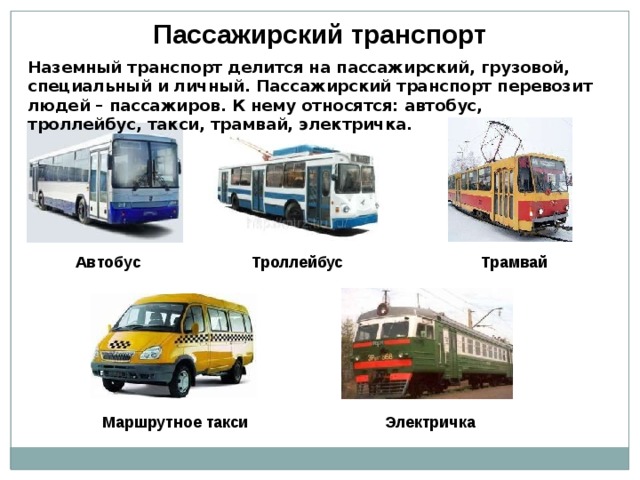 Маршрутного такси троллейбусов и. Пассажирский транспорт. Виды наземного транспорта. Виды общественного транспорта. Виды пассажирского транспорта.