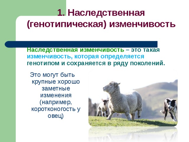 Генотипическая изменчивость это. Наследственная генотипическая изменчивость. Наследственная или генотипическая изменчивость. Наследственная (генотипическая). (1) Генотипическая изменчивость.