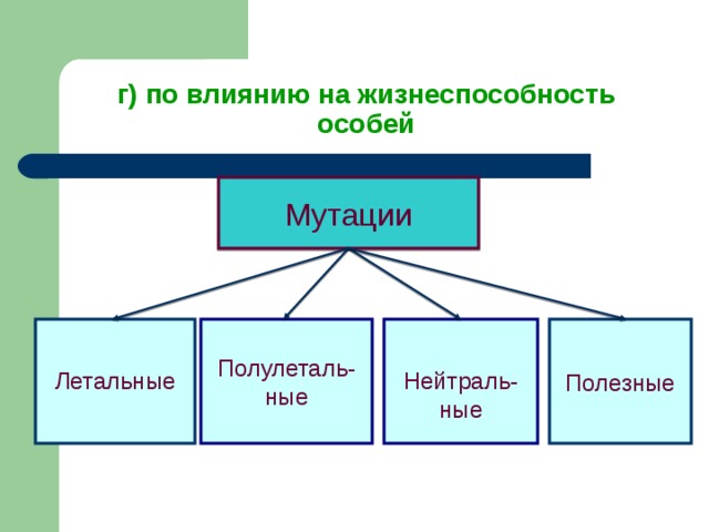 Вредные и полезные мутации проект по биологии