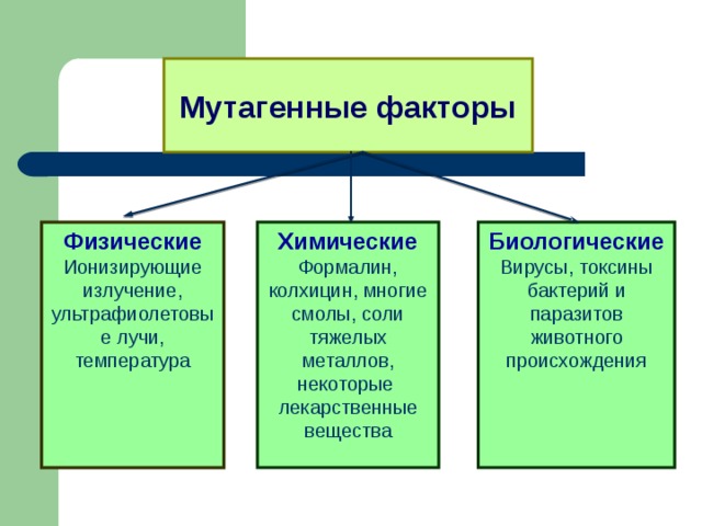 Мутагены их влияние на здоровье человека презентация