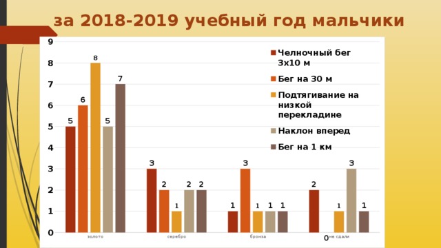 за 2018-2019 учебный год мальчики 