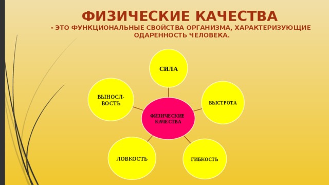 ФИЗИЧЕСКИЕ КАЧЕСТВА  - ЭТО ФУНКЦИОНАЛЬНЫЕ СВОЙСТВА ОРГАНИЗМА, ХАРАКТЕРИЗУЮЩИЕ  ОДАРЕННОСТЬ ЧЕЛОВЕКА. СИЛА ВЫНОСЛ- ВОСТЬ БЫСТРОТА ФИЗИЧЕСКИЕ КАЧЕСТВА ЛОВКОСТЬ ГИБКОСТЬ 