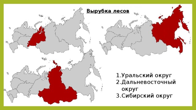 Вырубка лесов Уральский округ Дальневосточный округ Сибирский округ 